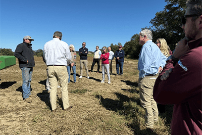 banksouth visiting gully branch tree farm
